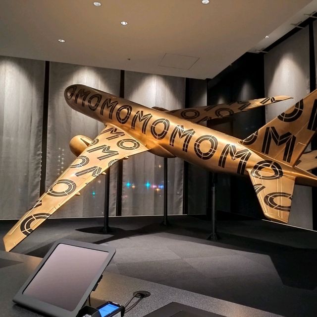 【大阪 宿泊記】おすすめ✨OMO 関西空港by 星野リゾート✨