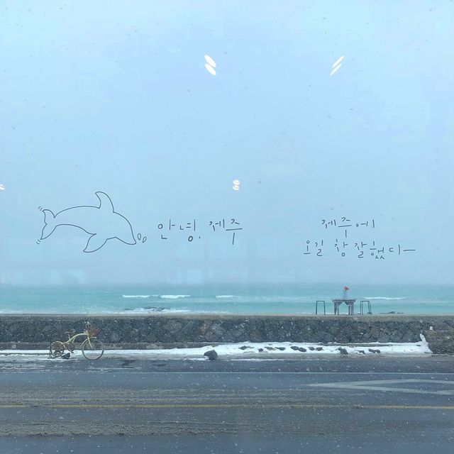 흐려도 좋아🐰 제주 세화해변🐚🏖️