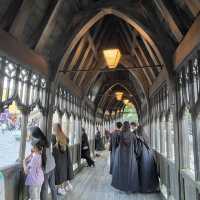 Harry Potter Studio 真係好正呀
