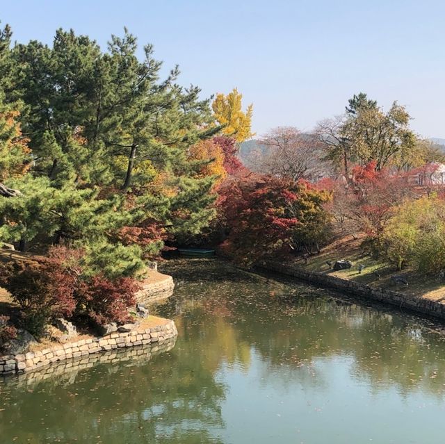 추억이 새록새록 피어나는 수학여행지 명소 “경주”