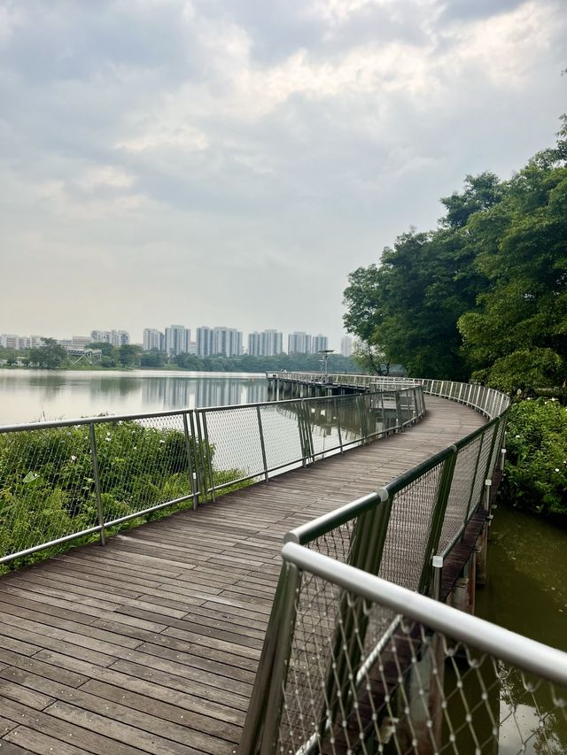 Gather your thought,relax @Jurong Lake Garden