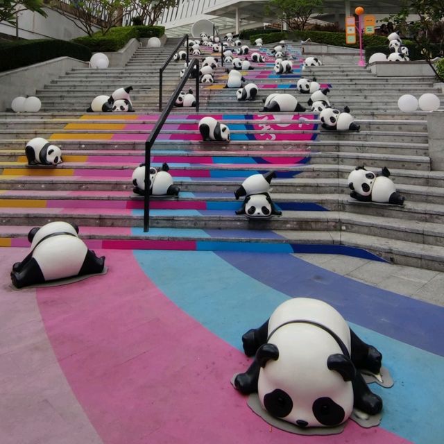 🐼panda Roll華南首展📍印力中心