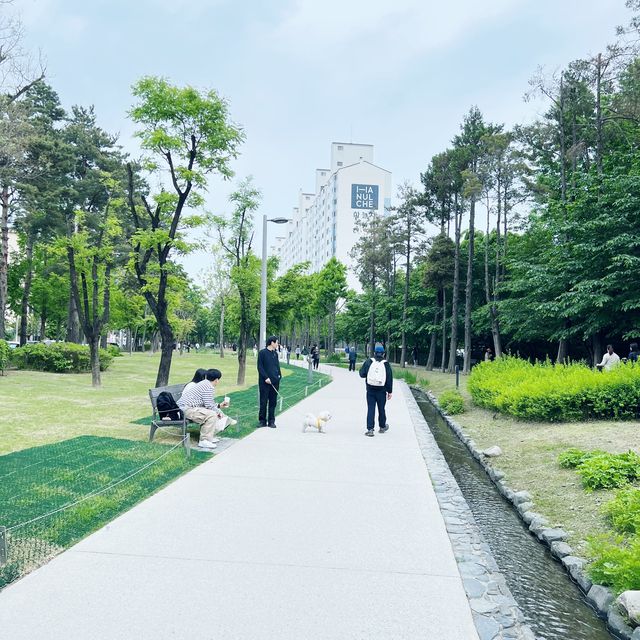 🇰🇷 Yeonnamdong neighbourhood park