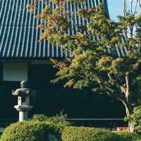 源光庵～美麗靜謐庭園🌸🏯