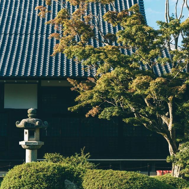 源光庵～美麗靜謐庭園🌸🏯
