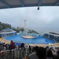 香港海洋公園平日遊😁