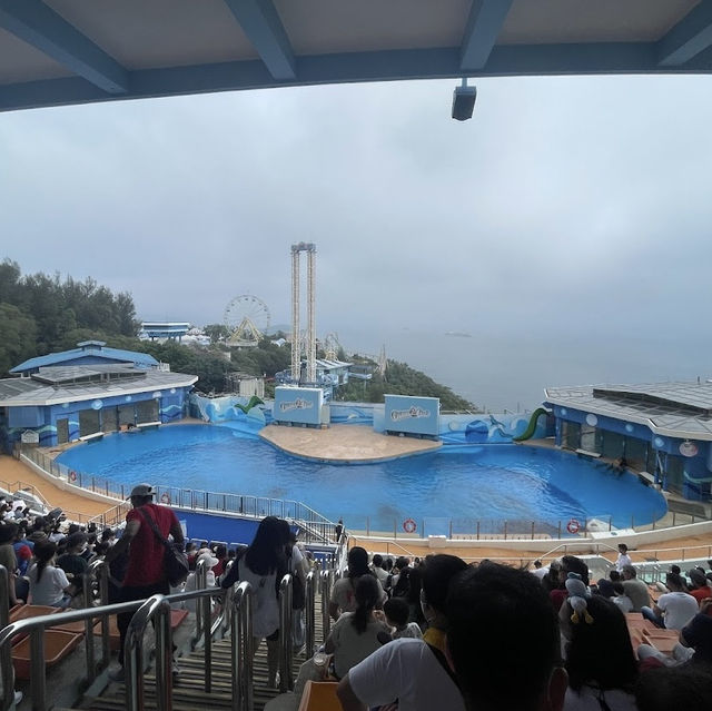 香港海洋公園平日遊😁