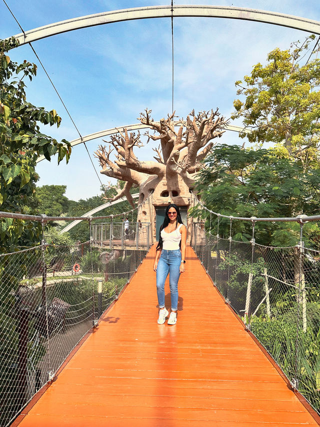 Dubai Safari Park: A Wild Experience