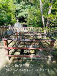 【山梨県/武田神社】武田信玄を祀る武田神社