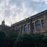 澳洲🇦🇺雪梨🎓大學城的美景📸♥️ The University of Sydney