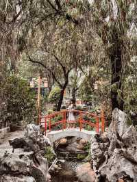 香港新一年必去中式建築黃大仙祠🙏🏻