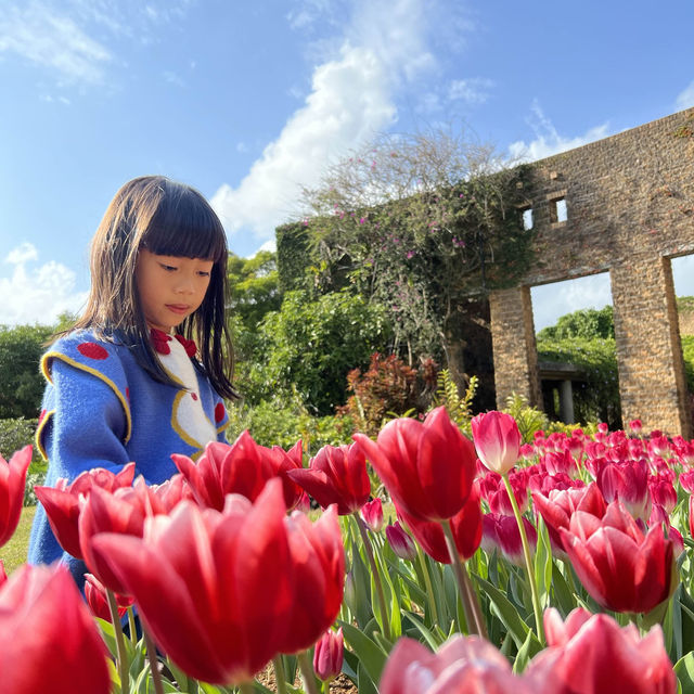 #沖繩最大鬱金香特展