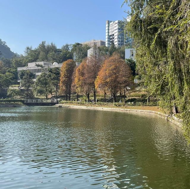 賞花季必到之中文大學‼️超令湖景