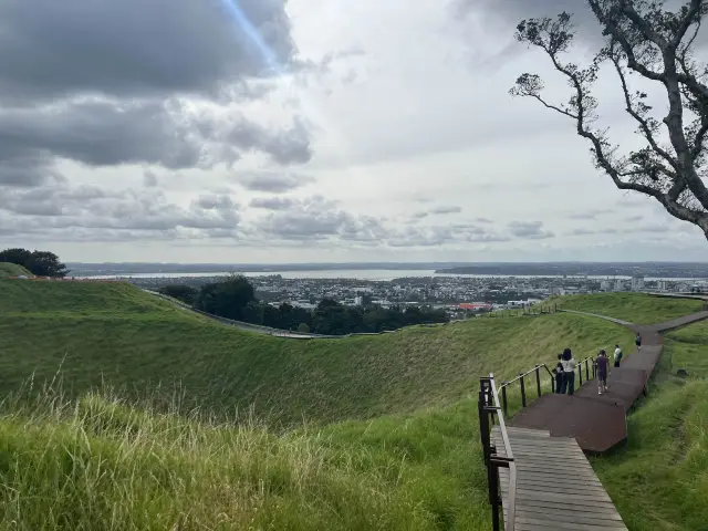 紐西蘭奧克蘭最高火山｜Mount Eden伊甸山，眺望奧克蘭市景最佳地點