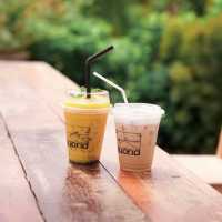 คาเฟ่ในสวนพัทยา ชลบุรี 