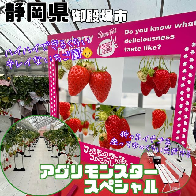 【アグリモンスタースペシャル】静岡県/御殿場市