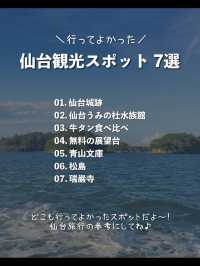 【宮城】絶対行くべき！行ってきた仙台の観光スポット7選
