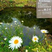 【山梨県/忍野村】忍野八海