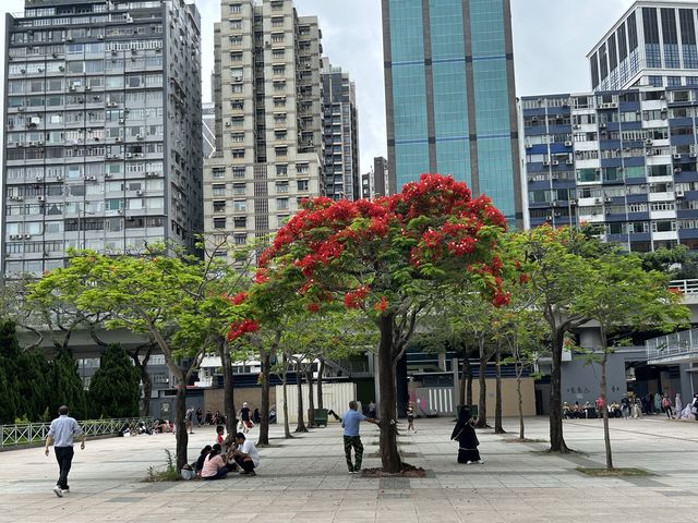 Victoria Park- a big park for events in Hong Kong Island