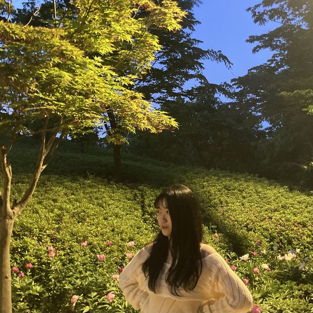 몸과 마음이 힐링되는 피크닉[한밭수목원]🌱