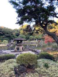 Former Furukawa Gardens 