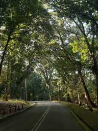Forest Research Institute Malaysia KL🌲🍃