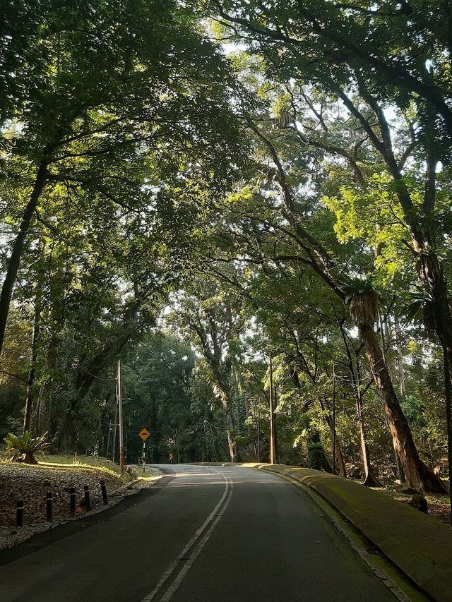 Forest Research Institute Malaysia KL🌲🍃
