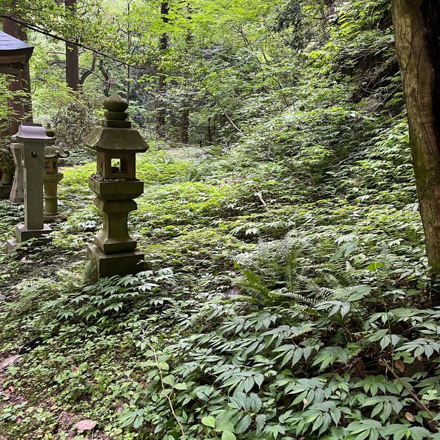 【隠岐の島】秘境　壇鏡の滝