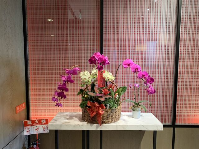 台湾　台湾観光　台北松山空港のAirline VIP Loungeが最高だった！