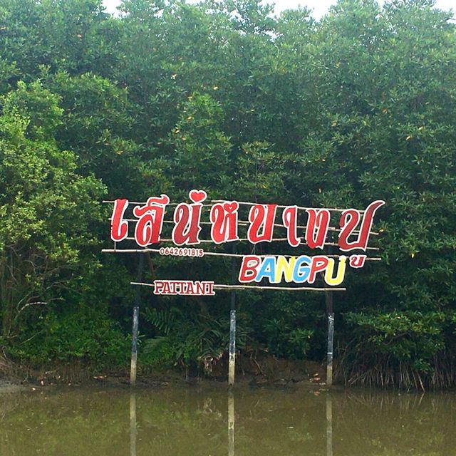 Bang Pu