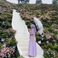 Floral Park: A Floral Fantasia in Cameron
