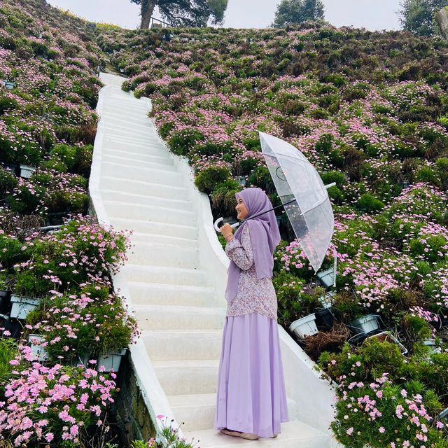 Floral Park: A Floral Fantasia in Cameron