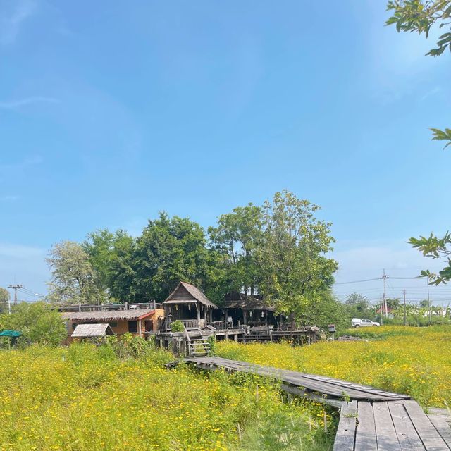 ชี้เป้าถ่ายรูป ฮีลใจ ถ้าไปลพบุรีห้ามพลาด