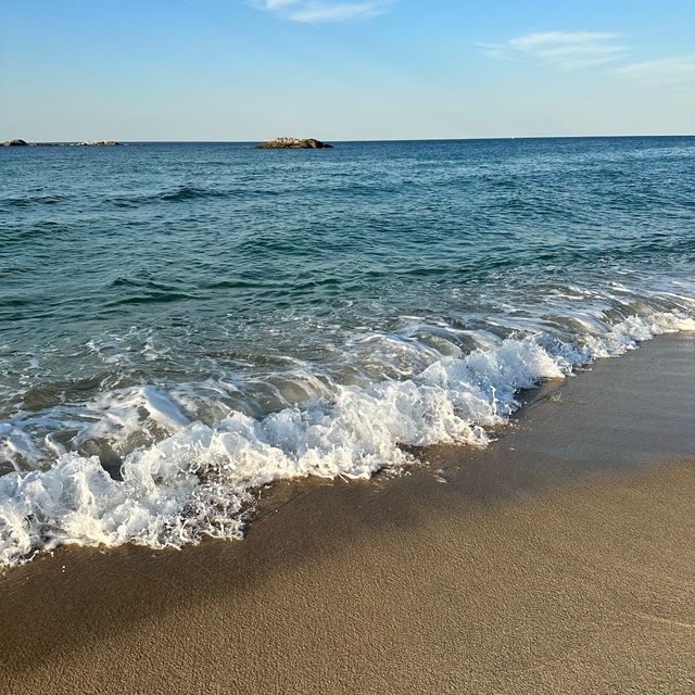 낮이나 밤이나 좋은 강릉🌊
