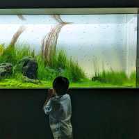 【札幌に新オープン！】水族館があるショッピングモール