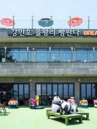 푸바오 대신 만난 인천 판다카페
