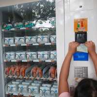 พาเที่ยวคาเฟ่บรรยากาศดี ร่มรื่น ที่ ดูบัวคาเฟ่