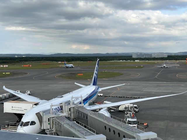 北海道『新千歳空港 展望デッキ』から見渡す大地と航空機
