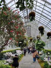 New York Botanical Garden 🪷✨