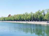 Discovering The Palace Museum in Beijing 