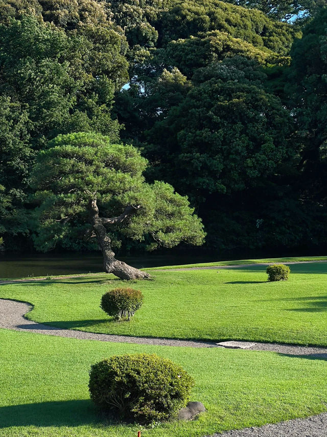 One of my favorite spots in Tokyo :)