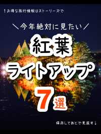 今年絶対に見逃したくない…！全国の紅葉ライトアップスポット7選🍁