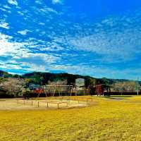 四季桜公園