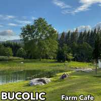 Bucolic ฟาร์มคาเฟ่เขาใหญ่