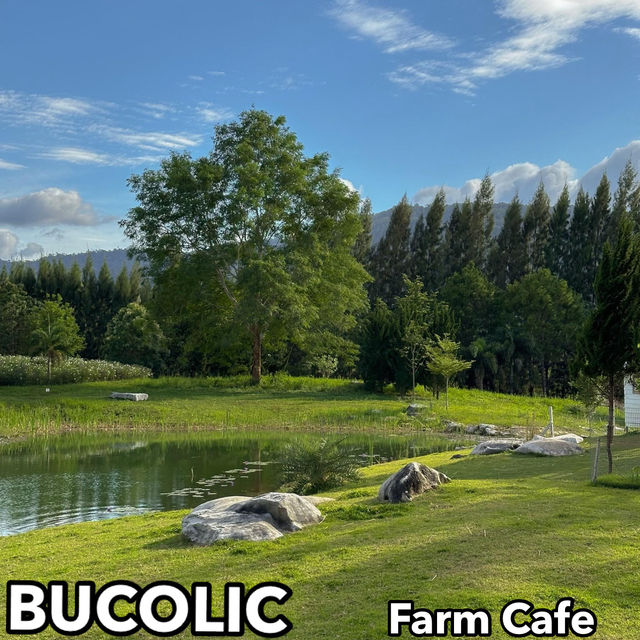Bucolic ฟาร์มคาเฟ่เขาใหญ่