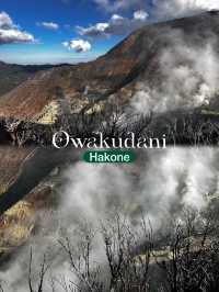 Must See & Must Do - Owakudani