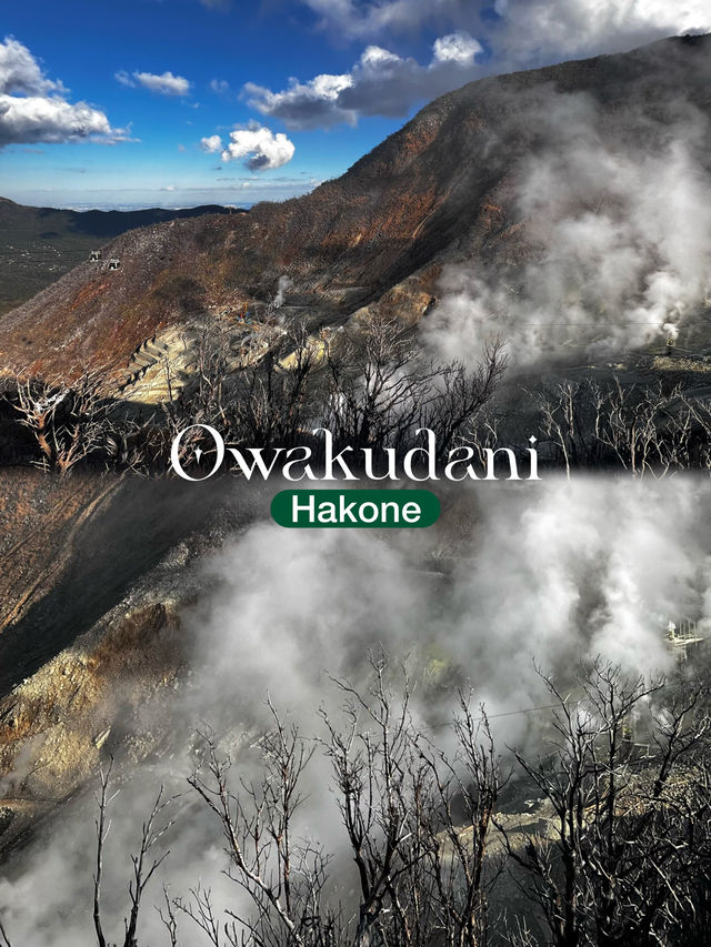 Must See & Must Do - Owakudani