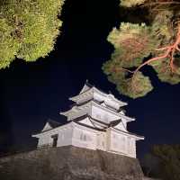 【小田原城】夜景も綺麗な歴史を感じる城郭