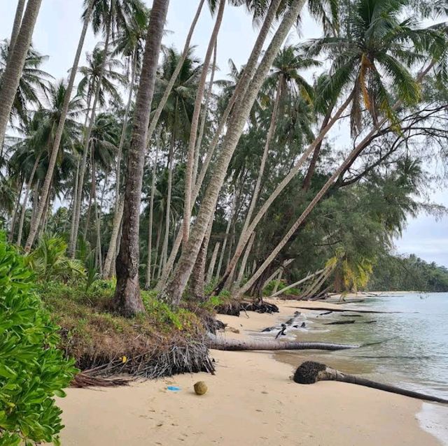 Ao Tapao Beach: Nature's Tranquil Retreat