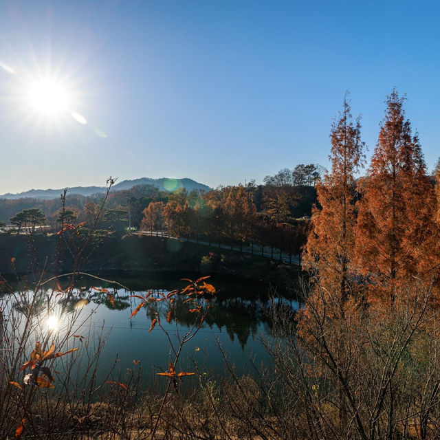 Aquatic Plant Learning Center in Winter 